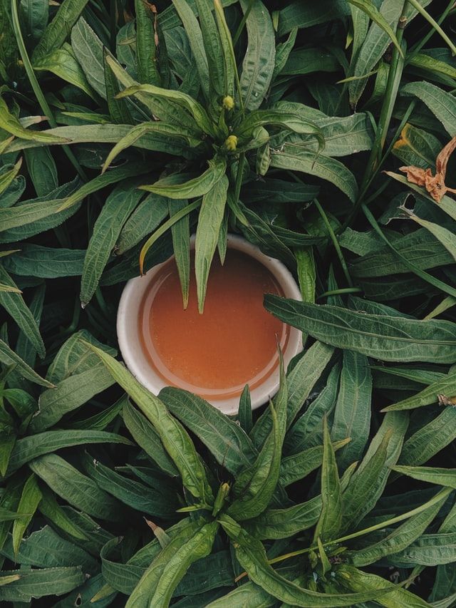 peppermint_tea-1